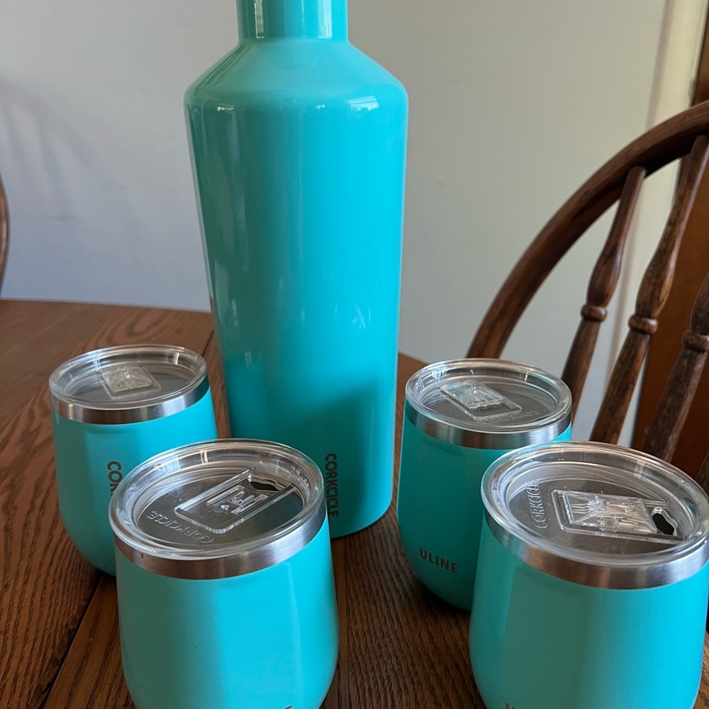 Corkcicle Aqua Bottle and Tumbler Set